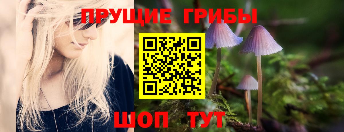 Семёнов  Галлюциногенные грибы прущие грибы  Вход с VPN 